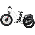 Fat Tyre Electric Tricycle